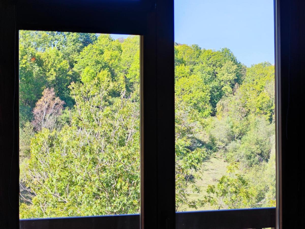 Els Tres Sols Villa Camprodon Buitenkant foto